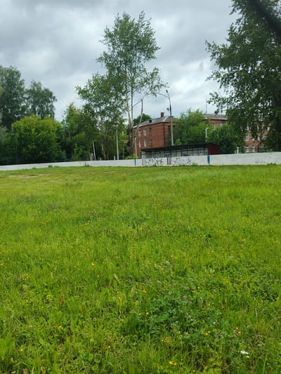 The image shows a grassy field in Drezna, Russia, with a white concrete barrier in the background. Behind the barrier, there are brick buildings, trees, and a cloudy sky. The field is covered in green grass with small yellow and pink flowers scattered throughout. The concrete barrier has graffiti on it. There are no people visible in the image.