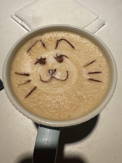 A latte art depiction of a cat's face is present on the surface of a light brown latte, served in a white ceramic mug with a light blue handle. The cat face is created using chocolate syrup, with two triangular ears at the top, two dot-like eyes, a small curved line for a nose, and whiskers drawn on either side. The mug is placed on a light-colored, textured surface, possibly a table, with a white napkin folded in the upper left corner of the frame. The lighting suggests an indoor setting, possibly a cafe or a home environment. There are no people or animals visible in the image. The context of Gatchina, Russia, is not discernible from the visual information provided in the image.