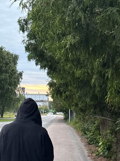 The image captures a view from behind a person wearing a black hooded jacket. They are standing on a paved pathway, bordered by lush green trees on the left and a road on the right. The pathway appears to be part of a park or a scenic route, with more trees visible in the background and distance.
The time of day suggests it's either early morning or late afternoon, as the sky displays soft hues of yellow and white, characteristic of sunrise or sunset. The weather seems calm, with a clear sky.
In the distance, buildings and streetlights are visible along the road. A blue sign with yellow text that reads "Sol Sun" is partially obscured by trees. There are also traffic signs and lights, indicating that this pathway leads to a road with vehicle traffic.
The overall scene evokes a sense of tranquility and a quiet moment in nature. The focus on the person's back and the surrounding greenery creates an intimate and contemplative atmosphere. The orientation of the image is rotated, so the pathway and road are shown vertically.