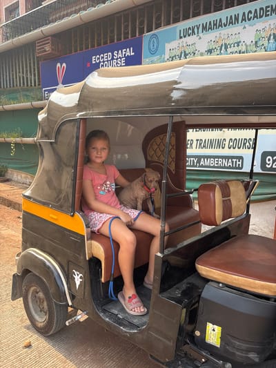 A young girl and a small, light brown dog are seated in the passenger compartment of a black and yellow auto-rickshaw on a paved surface in Ambernath, India. The girl, approximately six to eight years old, wears a pink t-shirt, patterned shorts, and pink flip-flops, and holds a blue leash connected to the dog's red collar. The dog has curly fur and its tongue is extended. The auto-rickshaw features a "CNG" sticker with a goat's head silhouette on the rear fender and has brown and beige upholstered seats. In the background, a building displays signage for "LUCKY MAHAJAN ACADEMY," "ECGED SAFAL COURSE," and "TEACHER TRAINING COURSE, CITY, AMBERNATH." Metal grates are visible on the building's exterior, and the ground is a reddish-brown, textured surface.