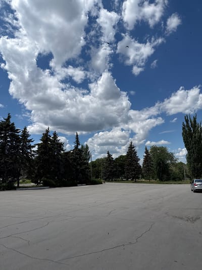 The image depicts an outdoor scene, likely a public space or park area, under a bright blue sky with scattered white clouds. Several dark green evergreen trees are prominent, lining the background of a large, cracked asphalt surface in the foreground. A silver car is parked on the right side of the asphalt. In the distance, more trees and greenery are visible, suggesting a park or a tree-lined avenue. A lamppost stands near the right edge of the image. Several birds are captured in flight against the sky. The overall impression is one of a sunny day in a relatively open, possibly urban or suburban, setting. The scene could be located in Masalovka, Russia, given the user's context, but no specific identifying landmarks are present within the image itself to confirm this.