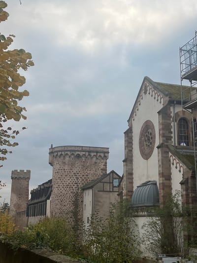 The image presents an exterior view of historical architecture in Obernai, France, beneath an overcast, light grey sky. In the foreground left, branches with yellowish-green autumnal leaves partially obscure the upper left corner. The mid-ground features a complex of stone buildings; a prominent circular tower with a crenellated parapet, constructed from reddish-brown rough-hewn stone, stands centrally. To its left, a smaller, square crenellated stone tower is visible. Behind these, a building with a dark-tiled, pitched roof and dormer windows is partially observed, alongside a smaller, lighter-colored building featuring a half-timbered section. To the right, a large building, resembling a church or basilica, displays a white facade with reddish-brown stone trim and pilasters. Its gable end features a large circular rose window with radiating spokes. The dark, pitched roof of this structure appears partially covered with moss. A grey, ribbed dome-shaped structure is attached to the lower section of the building's facade, below the rose window. Metal scaffolding is erected against the far right side of this prominent building. Green bushes and smaller trees occupy the lower mid-ground, positioned in front of the architectural structures and behind a dark, low wall or embankment. No individuals or specific actions are depicted within the scene.