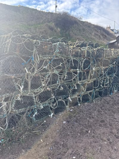 The image displays a substantial outdoor stack of weathered, dark-colored fishing creels, consistent with lobster or crab traps, situated on uneven ground in Montrose, United Kingdom. The creels, constructed from wire mesh, are secured or connected by numerous ropes, some featuring blue and white coloration. Multiple white floats are observed integrated with the ropes. This multi-layered stack dominates the midground. The foreground consists of dark soil, small pebbles, and scattered dry grasses. A significant lens flare emanates from the lower-left, indicating direct sunlight. In the background, a steep embankment covered in dry, brown-green vegetation and sparse shrubbery rises. A utility pole with associated overhead wires is visible atop the embankment. Towards the right, a dark-roofed wooden outbuilding and the upper portions of distant residential structures are visible against a partly cloudy blue sky. The scene is devoid of human presence.