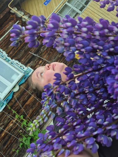An upward-angled, low-light, medium shot shows a person's face from the side, partially obscured by a large cluster of purple lupine flowers. The person, with light-colored eyes and pale skin, is looking upwards and slightly to their left. The background consists of the weathered wooden wall of a building, with a portion of a window frame visible on the left. The window has decorative blue and white trim. A blue street sign with white Cyrillic lettering, reading "ул. Пионеров" (Pionerskaya Street), is mounted on the wooden wall above and to the left of the window. The scene appears to be outdoors, likely in a rural or older urban setting. The overall composition is dominated by the vibrant purple of the lupine flowers in the foreground.
