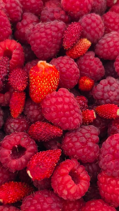 The image is a close-up, top-down view of a pile of fresh raspberries and a few small strawberries. The berries are a vibrant red and pinkish-red color, with visible texture from the drupelets of the raspberries and the seeds of the strawberries. Some of the raspberries are whole, while others appear to be broken or partially eaten, with their hollow centers visible. The strawberries are small and elongated, with distinct seed patterns. The lighting is even, highlighting the natural colors and textures of the fruit. The image does not contain any people, actions, or a visible environment beyond the berries themselves. Therefore, it is not possible to determine a specific location within Пацейкаўскі сельскі Савет, Belarus from this image.