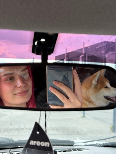 In Kamyennoye, Russia, a young woman with bright pink hair is seen taking a selfie in her car's rearview mirror. She is holding a smartphone in her right hand, angled to capture her reflection and a dog in the passenger seat beside her. The dog, a Shiba Inu with light brown and white fur, is looking out the window with its tongue slightly out. The interior of the car is dark, with the dashboard and a black car air freshener visible in the foreground. Outside the car, the sky is a vibrant pink, suggesting either sunrise or sunset, with the reflection of buildings visible in the distance. The overall scene depicts a casual moment of travel, possibly a road trip.