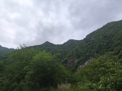 The image shows a lush, green mountain range under a cloudy, overcast sky. The mountains are covered in dense vegetation, with trees and shrubs blanketing the slopes. Rocky outcrops are visible in some areas, adding texture to the landscape. In the foreground, there are more trees and bushes, partially obscuring the lower slopes of the mountains. The overall impression is one of a natural, wild environment. The scene is situated in the vicinity of Aygehat, Armenia, characterized by its mountainous terrain and verdant foliage. There are no people or man-made structures prominently featured in the image.