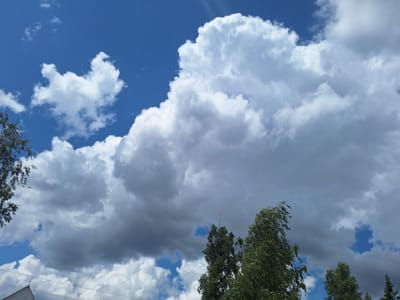 A bright blue sky is filled with large, fluffy white and gray clouds. In the foreground, the tops of several green trees are visible, their leaves rustling in the wind. A portion of a white building's roof can be seen in the lower left corner. The scene appears to be in Новоглаголево, Russia, on a windy day.
