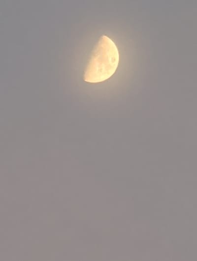 The image shows a gibbous moon in a hazy, grey sky. The moon is illuminated from the right and appears to be setting or rising. The sky is overcast, obscuring any details of the surrounding environment. There is no indication of the city of Böblingen, Germany, or any other specific location.