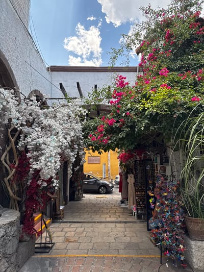 The image captures a narrow street in San Miguel de Allende, Mexico. The street is paved with light-colored stones, and the walls on either side are adorned with vibrant flora. On the left, a white wall supports a trellis with white flowers and red accents. Above this, pink bougainvillea covers a portion of the building. On the right, a shop selling colorful metal butterflies is visible, with a dark car parked further down the street. A yellow wall can be seen behind the car. The sky above is blue with scattered white clouds.