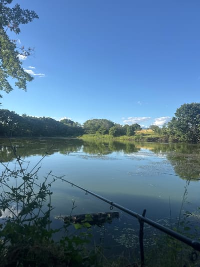 The image depicts a tranquil lakeside scene with lush greenery and a clear blue sky. In the foreground, a fishing rod is set up on a bank, pointing towards the calm water. The lake is surrounded by dense trees and vegetation, creating a serene natural environment. The water's surface reflects the sky and the surrounding foliage, adding to the peaceful ambiance. The location is identified as Smilets, Bulgaria, suggesting it is a natural body of water, likely a lake or pond, situated within or near the city. There are no people visible in the image. The overall impression is one of a quiet, undisturbed natural setting, ideal for outdoor recreation such as fishing.