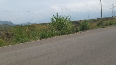 A gray asphalt road is in the foreground with green vegetation growing along the shoulder. Behind the vegetation, a sloping landscape leads to hills in the distance, shrouded in a hazy atmosphere. On the right, a power pole and transmission tower are visible against the sky. The sky is overcast, creating a soft, diffused light across the scene.