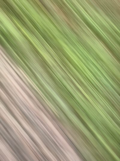 This is an abstract image featuring diagonal lines of varying shades of green and beige. The lines are blurred, creating a sense of motion or texture. There are no discernible people, subjects, objects, actions, interactions, or environmental features that can be identified. Therefore, the location in Baghwar, India, cannot be determined from the visual information provided.
