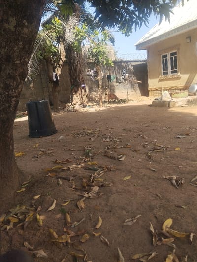 The scene depicts an unpaved outdoor yard in Unguwan Rimi, Nigeria, under clear daylight conditions. The ground consists of compacted dirt, extensively covered with scattered, dried leaves. In the left foreground, a large tree trunk with dark bark is present. Adjacent to its base, a black plastic container, resembling an inverted barrel, rests upright. A concrete block wall extends across the mid-ground, topped with a single strand of barbed wire along its upper edge. Various articles of clothing, including light and dark garments, are draped over this wall and on several slender wooden posts or small tree trunks positioned in front of it. A small, dark-furred animal, consistent with a goat, is partially visible near the base of the wall in the right-center background, positioned to the right of the hanging clothes. To the right of the yard, a single-story building with light-colored exterior walls, two white-framed windows, and a white corrugated metal roof is visible. Shadows suggest direct sunlight from a high angle. No human individuals are present within the frame.
