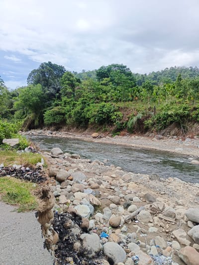 This image depicts a riverine landscape in Meurah, Indonesia, under an overcast sky. The foreground on the left features a partially eroded asphalt road section adjacent to a significant accumulation of discarded refuse, including plastic waste and burnt debris. Sparse green grass grows along the road's edge.
The river, characterized by flowing, dark-toned water, occupies the central part of the scene. Its banks are extensively covered with numerous smooth, light-colored rocks and pebbles of varying sizes. Additional scattered plastic trash and fabric scraps are visible among these rocks, particularly in the immediate foreground and along the left bank. Pieces of driftwood are also present among the riverbed rocks.
The river is bordered by steep banks heavily vegetated with dense green trees and foliage, extending from the mid-ground into the background. The vegetation primarily consists of various broadleaf trees and some palm-like plants. No individuals or animals are visible within the frame.
