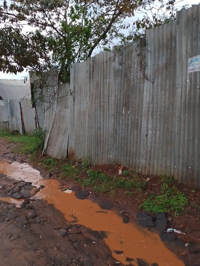 The scene depicts a damaged, unpaved thoroughfare in Olkeri ward, Kenya, characterized by significant potholes filled with reddish-brown muddy water, indicative of recent precipitation. The road surface is a mix of compacted dirt, loose soil, and remnants of broken asphalt. To the left, a series of structures with corrugated metal roofs are partially visible behind a rusted, corrugated iron fence. Dominating the right side of the frame is a tall, weathered corrugated iron wall, grey in color with vertical corrugations, showing dirt streaks and minimal, faded textual elements. A narrow strip of green grass and sparse vegetation grows along the base of this wall, separating it from the muddy road. Overhead, tree branches with green and brown foliage extend across the upper portion of the image against an overcast sky, with some branches appearing to grow over or near the fences. No individuals or active interactions are observed.