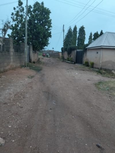 A wide dirt road leads into the distance in Barikin Jirga Summa, Nigeria. The road is lined on the left by a low, block-built wall and on the right by a light-colored building with a silver corrugated metal roof. Several tall, conical evergreen trees stand behind the building. A large, leafy tree with a thick trunk is visible on the left side of the road, behind the block wall. Two figures are walking away from the camera on the dirt road in the distance. The sky is overcast and the scene appears to be in the late afternoon or early morning.