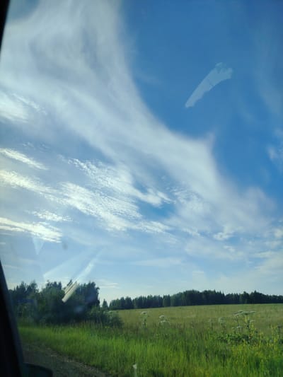 The image depicts a rural landscape, likely in the vicinity of Tap'iushka, Russia, seen through a vehicle window. The foreground is dominated by a lush green field with tall grass and some scattered wildflowers, including what appear to be Queen Anne's Lace. A dark, possibly gravel road runs along the left edge of the frame. In the middle ground, a dense line of dark green trees forms the horizon. Above the trees, the sky is a vibrant blue, filled with streaks of wispy white clouds. There are reflections on the vehicle's window, including a prominent elongated reflection that resembles a wing or a shard of glass. No people are visible in the image. The overall impression is one of a clear, sunny day in a natural, undeveloped area.