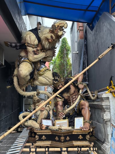 The image depicts two mythological figures. On the left is a creature resembling a monkey, with cream-colored fur, adorned with black attire, gold bracelets, and ornate headdresses. A snake is draped around its neck. On the right is a muscular humanoid figure with dark skin and black hair. It wears black and gold clothing and similar gold bracelets. Both figures are situated on raised platforms or structures constructed from bamboo, with decorative black and gold cloths. There are certificates and frames hanging off these structures. A long bamboo pole extends diagonally between the two figures. The background shows buildings and greenery typical of an urban environment. The setting appears to be outdoors, potentially a street or courtyard. The location is Kerobokan Kelod, Indonesia.