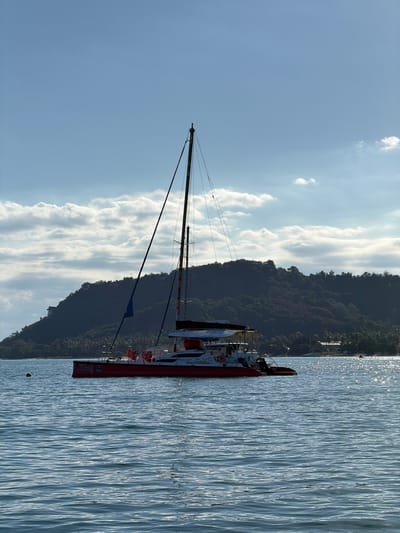 A red and white catamaran is docked on the water. The boat has masts and rigging, suggesting it is a sailboat. Life vests are visible on the side of the boat. A lush green hillside with trees rises from the water behind the boat, and the sky is a clear blue with some white, wispy clouds. The water is rippled, reflecting the sunlight. The time of day appears to be late afternoon or early evening due to the angle of the sun and the shimmering light on the water. The overall atmosphere is peaceful and serene, suggesting a calm day at sea. The text "King" is visible on the side of the boat.