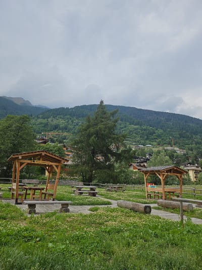 The image depicts an outdoor picnic area in Ponte di Legno, Italy, likely during daytime with overcast skies. The foreground is dominated by lush green grass and a paved walkway winding through the area. Several picnic tables with benches are visible, some under wooden shelters. Two large logs are placed horizontally along the walkway. In the background, a dense forest covers a sloping mountainside, with a town nestled amongst the trees. Buildings with traditional architecture and a construction crane are also visible on the hillside. The overall scene suggests a recreational space within a mountainous, village environment.