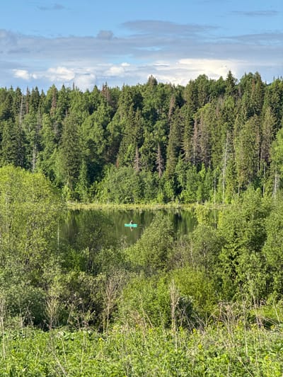 The image shows a landscape with a body of water, possibly a lake or river, surrounded by dense trees. The trees are primarily green, suggesting a forested area. The sky is visible on the left, showing clouds. A small, bright green object, likely a boat or kayak, is in the middle of the water, with a person standing on it. The image appears to be taken on a bright, sunny day. It is impossible to verify whether this image is located in Medvedka, Russia, or any other location.