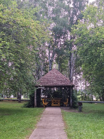 An outdoor gazebo with a brown shingled roof is centrally located in a grassy park. The gazebo, constructed from wood and partially overgrown with greenery, contains a yellow wooden picnic table and benches. A concrete pathway leads directly to the front of the gazebo. Surrounding the structure are numerous tall trees with lush green foliage, creating a dense canopy that filters the soft daylight. In the background, a dark pipe runs horizontally across the scene, supported by posts. To the right of the gazebo, a metal barbecue grill stands on the grass. The overall setting is a tranquil, wooded area within the city of Atamanovka, Russia.