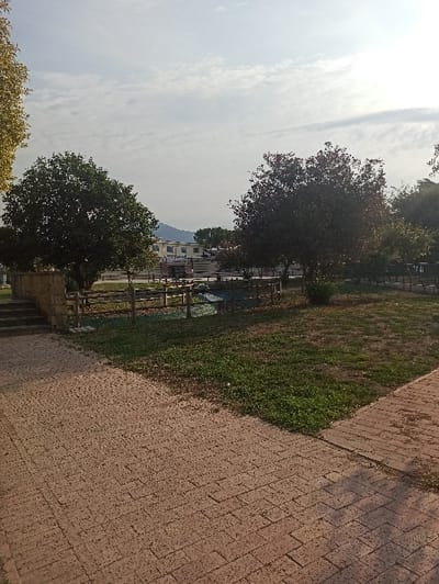 The image depicts a public green space within the city of San Marzano sul Sarno, Italy, under a partly cloudy sky during daylight hours. The foreground features two distinct paved pathways: a lighter, granular reddish-brown path on the left leading to a set of stone steps, and a darker, more uniformly paved reddish-brown brick path on the right. These paths converge or meet at an angle, separated by a strip of green grass containing some bare earth patches.
In the midground, a low wooden fence with vertical posts and horizontal rails encloses a central area. Behind this fence, a small, dark water feature or channel is visible. Two prominent trees stand within or adjacent to this central area: one on the left with dense green foliage and another on the right with darker, possibly reddish-tinged leaves. Further back, several dark benches are discernible, suggesting a seating area.
The background reveals urban elements: light-colored buildings with dark roofs, appearing to be multi-story structures, are visible across a paved area that resembles a street or parking lot where faint outlines of parked vehicles can be observed. Distant mountains or hills rise on the horizon, partially obscured by atmospheric haze. No individuals are present within the frame. Shadows indicate the sun is positioned to the right of the scene.