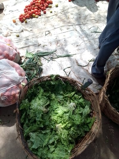 The image captures an outdoor scene, likely a market stall or a produce preparation area, with various fresh vegetables laid out on a light-colored, somewhat worn tarp spread on the ground.
In the upper left portion of the image, numerous red tomatoes are scattered across the tarp. Some of these tomatoes show hints of green, indicating varying stages of ripeness. Near the bottom left, two large, white mesh bags are visible, each filled with round, light brown vegetables, most likely onions.
Between the bags of onions and the foreground basket, there's a pile of green, elongated vegetables, which appear to be green beans or possibly trimmed spring onions, lying directly on the tarp.
The most prominent feature in the foreground is a large, circular woven basket, made from natural fibers like wicker. This basket is brimming with fresh, bright green leafy vegetables, strongly resembling lettuce or cabbage leaves, which appear to have been recently harvested or prepared. A dark-colored object, possibly a small bottle or the handle of a tool, is partially visible nestled among the leaves in this basket. To the right of this basket, another similar woven basket is partially visible, also containing green leafy vegetables.
On the far right side of the image, the lower legs and feet of a person are visible, clad in blue trousers or jeans, suggesting someone is standing or working near the produce.
The overall lighting suggests a bright, sunny day, with some shadows cast across the tarp, indicating outdoor conditions. No discernible text is visible within the image. The scene conveys an impression of fresh produce being handled, sorted, or displayed for sale.