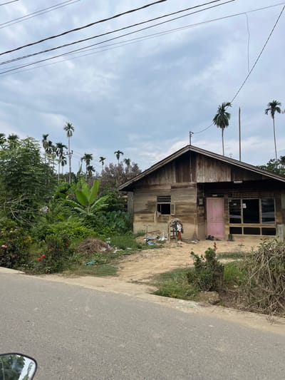 This image shows a weathered wooden house with a pink door, located in the city of Tanahterban, Indonesia. The house has a simple, rustic design, with visible wood planks and a sloping roof. In front of the house, there is a dirt yard with some scattered debris and vegetation. To the left of the house, there is a lush green area with trees, plants, and flowers, suggesting a tropical environment. In the background, tall palm trees are visible against a cloudy sky. Power lines stretch across the upper portion of the image, indicating the presence of electricity infrastructure. The overall scene depicts a rural or semi-rural setting in Indonesia, characterized by its natural surroundings and modest architecture.