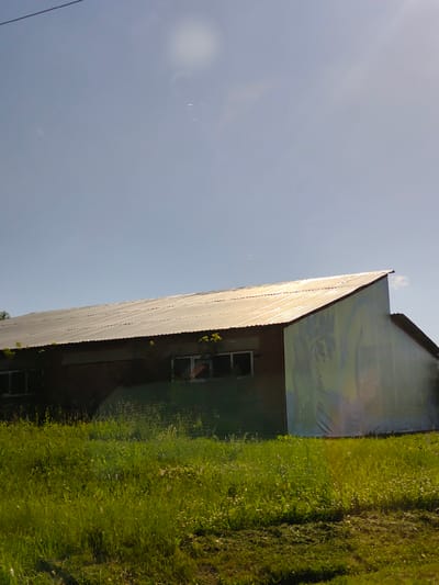 A low-angle, exterior, medium shot captures a long, low-slung, agricultural building with a corrugated metal roof that reflects the bright, clear blue sky. The building, constructed with brick on the left and a large mural on the right, has several rectangular windows with dark frames. Green grass and some small plants grow in front of the building. The sun is visible in the sky, creating a lens flare. The location is identified as Кварса, Russia.