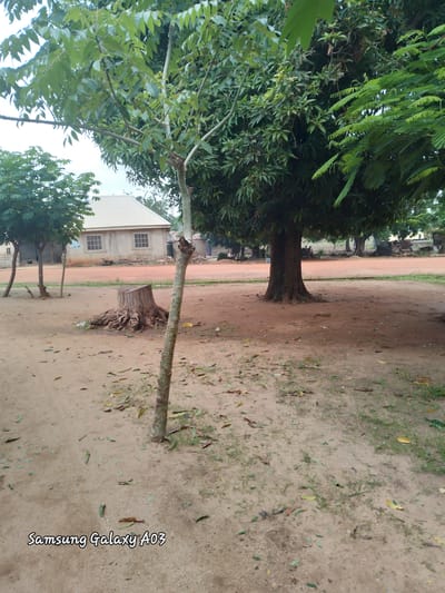The image depicts an outdoor scene in Doka-Tofa, Nigeria. In the foreground, a tree trunk stands prominently, with a smaller tree to its left. The ground is covered in sandy soil and scattered leaves. Behind these trees, a light-colored building with a peaked roof and two windows is visible. The building appears to be a residential structure. Further in the background, more trees and vegetation can be seen, creating a natural environment. The overall impression is that of a rural or semi-rural setting within the town. The sky is overcast, suggesting a cloudy day. The bottom left corner of the image displays "Samsung Galaxy A03" text, indicating the device used for capture.