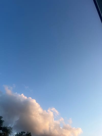 The image displays a wide expanse of a clear blue sky, with a soft gradient of lighter blue towards the right side of the frame, suggesting a late afternoon or early evening setting. In the lower left quadrant, a cluster of clouds is visible. These clouds are voluminous and textured, with their undersides appearing in shades of grey and dusky purple, while their upper surfaces are brightly illuminated in hues of warm white and peachy orange, indicating they are catching the light of the setting sun. Silhouetted against the sky and beneath the clouds are the dark, jagged tops of trees, adding a natural element to the scene. On the far right edge of the image, a thin, dark vertical line is present, possibly a building edge or a window frame, partially obscuring the sky. The image does not contain any people or visible human activity. The environment depicted is outdoors, likely in a park or natural area within Jacksonville, United States of America, given the presence of trees and the open sky.