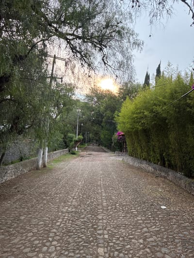 The image depicts a cobblestone street scene in Santiago Tlautla, Mexico. The road, composed of small, rounded stones, extends into the distance with a slight downward slope. A low stone wall borders the road on one side, with vegetation, including bamboo and trees, lining both sides of the road. The sun is visible through the trees, creating a bright spot in the sky. Power lines are visible in the distance. There is no indication of human activity.