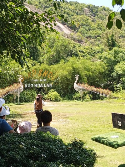 The image depicts an outdoor scene at "Dao Hoa Lan," located in Hoa Thang, Vietnam. In the background, lush green trees and a rocky hillside dominate the landscape. In the mid-ground, a white, wire-frame sculpture of a peacock is adorned with red flowers. Another similar peacock sculpture is partially visible to the left. A sign with the text "SINH SHOU 11:00 11:30 DAO HOA LAN" is illuminated with golden letters. A person wearing a brown vest and a hat is walking away from the camera towards the peacock sculptures. In the foreground, several people are seated on the grass, facing away from the viewer, with some wearing hats. Dense green bushes are in the immediate foreground. A dark, rectangular object, possibly a sign or a stage element, is situated on the right side of the image. The ground is covered in green grass.