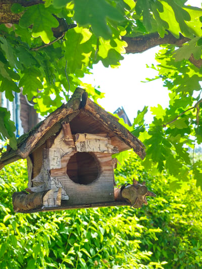 A handmade wooden birdhouse is suspended from a tree branch, surrounded by lush green oak leaves and foliage. The birdhouse is constructed from natural wood and bark, with a circular opening. The scene appears to be set in a garden or natural outdoor environment, possibly in or near the city of Zhukovo, Russia, given the context. The lighting suggests it is daytime, with sunlight filtering through the leaves. No people or animals are visible in the frame.