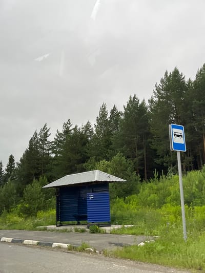 The image shows a bus stop in a rural or forested area. A blue bus shelter with a corrugated metal roof is visible on the left side of the image, next to a paved area. A bus stop sign with a white bus icon on a blue background is mounted on a pole to the right of the shelter. A dense forest of evergreen trees forms the backdrop, with green grass and wildflowers in the foreground. The sky is overcast, suggesting cloudy weather. The scene appears to be located in or near the village of Kuku'i, Russia.