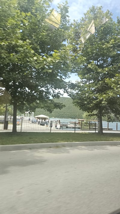 The image depicts a waterfront scene, likely in Abrau-Dyurso, Russia, on a sunny day. Two large trees with green foliage frame the view. In the middle ground, a paved area runs alongside a body of water. A black metal fence separates the paved area from the waterfront. Beyond the fence, several people are visible. Some are gathered near a white gazebo structure, while others stand on a dock. A white tent or canopy is also present. The water appears calm, and a distant, tree-covered hill forms the backdrop. The foreground shows a blurred grey paved surface, suggesting the photo was taken from a moving vehicle. Reflections of a building and the sky are visible on the windows of what appears to be a vehicle.