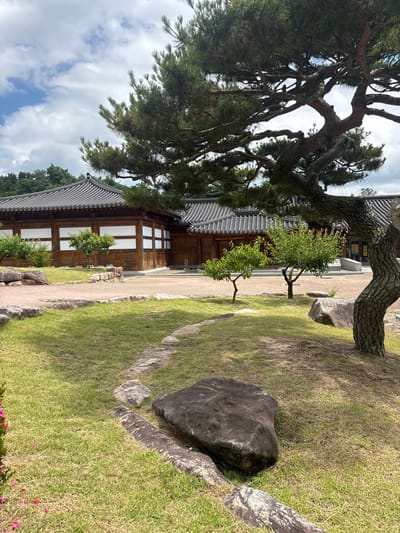 The image depicts a serene courtyard of a traditional Korean building in Gyeongju-si, South Korea. A large, gnarled pine tree dominates the foreground, its branches extending over a meticulously maintained lawn. Several large, rounded stones are strategically placed in the grass, adding to the natural aesthetic. A winding path of smaller stones guides the eye towards the building.

The building itself features a dark, tiled roof with gracefully curved eaves, characteristic of traditional Korean architecture. The walls are constructed of warm-toned wood, with sections of white paneling. Several small, leafy trees are planted in the courtyard, providing pockets of lush greenery. The sky above is a mix of blue and white clouds, suggesting pleasant weather. The overall impression is one of tranquility and historical preservation.