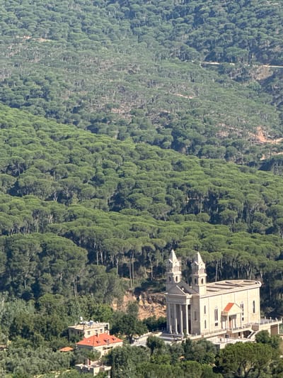 The image captures a panoramic view of a vast, undulating hillside densely covered with mature pine trees. The forest stretches across the frame, with varying shades of green indicating the canopy and sunlight. In the foreground, nestled among the trees, are a few buildings. Prominently featured is a large, light-colored church with two bell towers, a colonnaded entrance, and a red-tiled roof section. To the left of the church, a cluster of residential buildings with red-tiled roofs is visible. The landscape suggests a rural or semi-rural setting with significant natural vegetation. The scene is likely located in Jezzine, Lebanon, a region known for its pine forests and scenic beauty. No people are visible in the image.