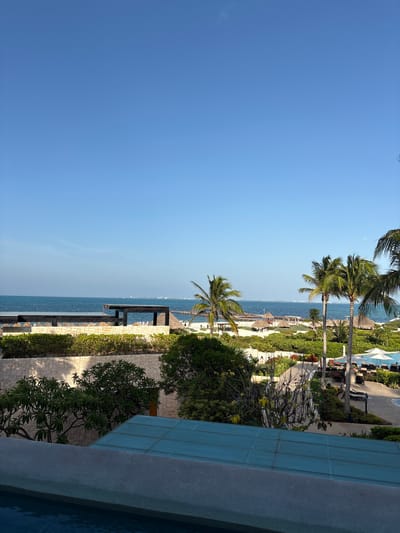 An elevated view of a resort area on the coast of Punta Sam, Mexico, shows a clear blue sky above a tranquil turquoise ocean. The foreground features a concrete structure with a glass-paneled roof, possibly part of a swimming pool area. Beyond this, a low stone wall topped with dense green bushes separates the viewer from the resort grounds. Palm trees, some laden with coconuts, dot the landscape, interspersed with lush vegetation. A sandy beach is visible in the mid-ground, leading to the ocean, with several thatched-roof cabanas and lounge chairs. In the distance, a pier extends into the sea, and a distant coastline with structures is faintly visible. The overall scene depicts a serene tropical resort environment.