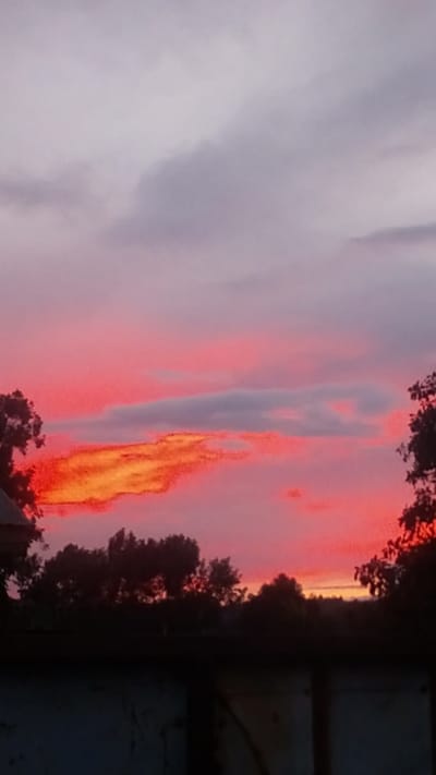 The image depicts an outdoor scene in Ndeiya, Kenya, likely during dusk or dawn. The sky dominates the frame, showcasing a broad spectrum of intense pink and red hues across its lower and central portions, transitioning to lighter grey and lavender tones in the upper section. A prominent, elongated cloud formation is centrally positioned, displaying vivid orange and yellow illumination, suggesting direct sunlight. Other darker grey clouds are interspersed throughout the sky. The lower approximately 20% of the image is occupied by a dark, silhouetted horizon line composed primarily of dense tree canopy. On the far left, an indistinct dark structure, possibly a roofline, is partially visible above the tree line. A solid, dark, horizontal barrier, appearing to be a fence or wall, occupies the bottom 10-15% of the frame, obscuring the immediate foreground. No individuals, specific actions, or interactions are discernible.