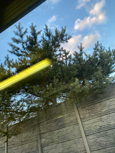 The image depicts an outdoor scene in the city of Марфино, Russia, captured from an upward-angled perspective, likely through a vehicle window. The upper two-thirds of the frame feature a clear light blue sky with scattered white cumulus clouds. Occupying the mid-ground are the dense, dark green needles and numerous cones of a mature coniferous tree, consistent with a pine. The lower third of the image shows a tall, gray concrete fence with a textured, stacked stone-like pattern, supported by vertical concrete posts. The tree foliage extends above and partially behind the fence. A prominent, blurred, bright yellow light streak, indicative of glare or reflection on glass, diagonally traverses the image from the upper-left to the mid-right, obscuring parts of the tree. A dark, angled structure, potentially a vehicle interior element, is visible in the extreme upper-left corner. No individuals are present, and no actions or interactions are discernible. The scene is illuminated by natural daylight.