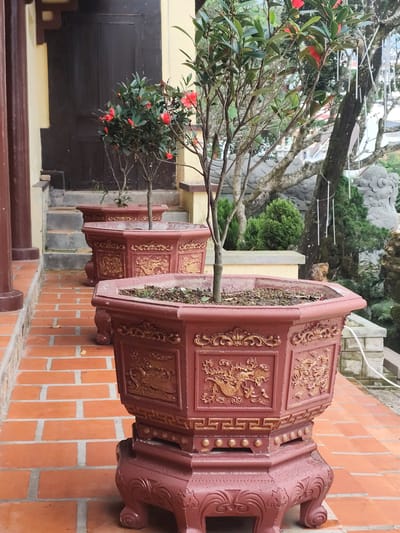 A close-up, eye-level, outdoor shot shows three ornate, hexagonal planters arranged in a line on a brick walkway, leading towards a dark wooden door and stairs. The planters are a deep red with intricate gold relief decorations depicting mythical creatures, possibly dragons. Each planter contains a small tree with green leaves and red blossoms. The walkway is made of terra cotta bricks laid in a horizontal pattern. To the right of the planters, a lush garden area is visible, featuring large trees, dense green shrubs, and a stone sculpture. The background suggests a hillside setting with buildings and trees in the distance. This scene is consistent with the aesthetic of many temples and traditional gardens in Da Lat, Vietnam, known for its French colonial architecture and temperate climate.