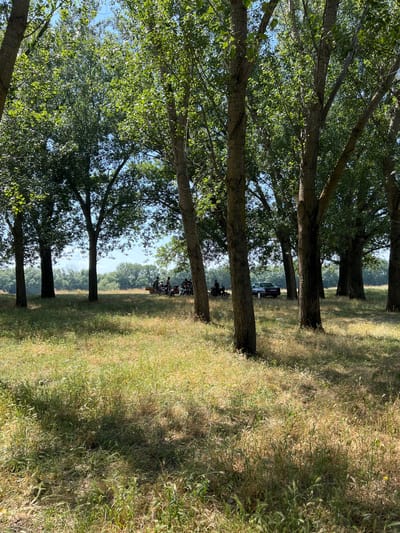 The image depicts a group of people gathered in a wooded area with a grassy, dry field. Several trees with green foliage are prominent in the foreground and midground, casting shadows on the ground. In the background, a car and a collection of motorcycles are visible, with a group of individuals standing near the motorcycles and a trailer. The sky is clear and blue. The scene suggests an outdoor recreational activity or gathering in a natural setting. There is no information in the image that specifically places the location in the city of Indiya, Moldova.