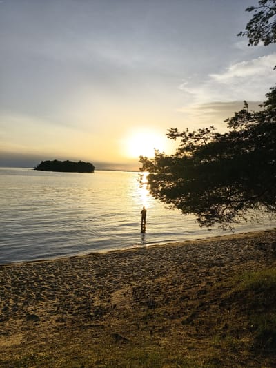 A person stands in shallow water at the edge of a sandy beach, facing the setting sun. The sun is a bright orb just above the horizon, casting a golden reflection on the rippling water. A small, tree-covered island is visible in the distance. A large pine tree branches overhang the right side of the frame, silhouetted against the sky. The image appears to be taken in Motala, Sweden, likely at a lake or coastal area.