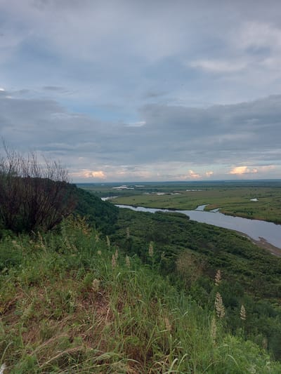 The image captures a panoramic view of a wide river winding through a vast, green landscape. In the foreground, tall grasses and dry brush occupy a steep incline covered in vegetation. The middle ground features a densely forested hillside sloping down towards the river, which is bordered by expansive green plains. In the distance, the landscape stretches to the horizon, characterized by a network of waterways and wetlands under a cloudy sky. The scene appears to be located in or near Parunovka, Russia.