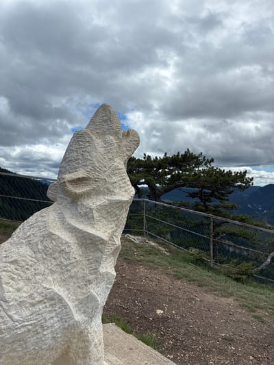 A stone sculpture is in the foreground, possibly a bear, facing toward the right of the frame. Behind the sculpture is an outdoor scene with a fence, tree, mountain in the background, and a cloudy sky overhead. This scene is located near Giovren, Bulgaria.
