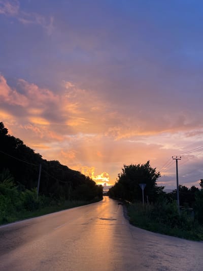 The media file depicts a scenic view of a wet asphalt road curving through a lush green landscape at dusk. The sky is a breathtaking canvas of colors, transitioning from a soft purple on the left to warm oranges and yellows near the horizon, illuminated by the setting sun. Wispy clouds catch the light, creating a dramatic and ethereal atmosphere.
Along the right side of the road, a dense line of trees and foliage forms a natural border, with a few utility poles visible amidst the greenery. The road itself appears recently wet, reflecting the warm hues of the sky, suggesting recent rainfall or dew. A single white line marks the center of the road, disappearing into the distance.
The time of day is clearly sunset, given the vibrant sky colors and the long shadows cast. The overall mood is peaceful and serene, evoking a sense of tranquility and natural beauty. The location is identified as Солнечная Поляна, Russia, which adds a specific geographical context to the scene. There is no visible text in the media file.