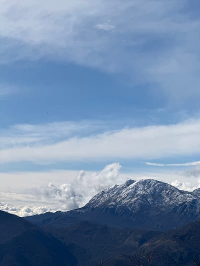 The image depicts a panoramic view of mountainous terrain, likely from an elevated perspective in Bogdašići, Montenegro. In the foreground, the upper branches of what appear to be deciduous trees without leaves are visible at the bottom edge. The midground features multiple dark, undulating mountain ranges, heavily forested or covered in dark vegetation, receding into the distance. The prominent mountain in the mid-to-background exhibits significant snow cover on its upper peaks and ridges, contrasting with the dark, bare slopes below. In the background, white and grey cumulus clouds are visible, appearing to cluster around or below some of the mountain peaks. The sky occupies the upper two-thirds of the frame, transitioning from a lighter blue near the horizon to a deeper blue overhead. Streaks of white, wispy clouds are distributed across the blue sky. Two small, dark avian subjects are discernible in flight within the sky portion of the image. No people or discernible structures are present.